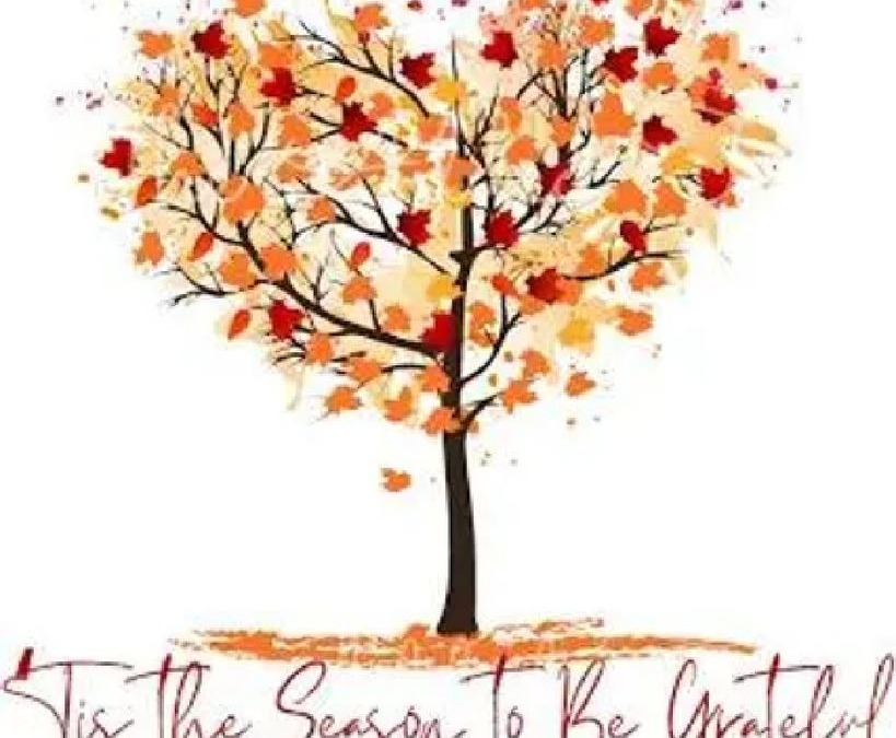 Gratitude and Growth: Embracing Life Through Gratitude