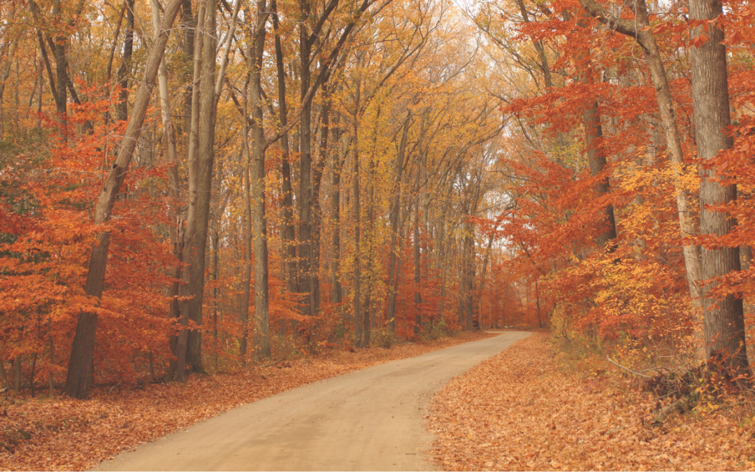 Changing Seasons, Changing Routines: How to Navigate Life’s Transitions With Intention
