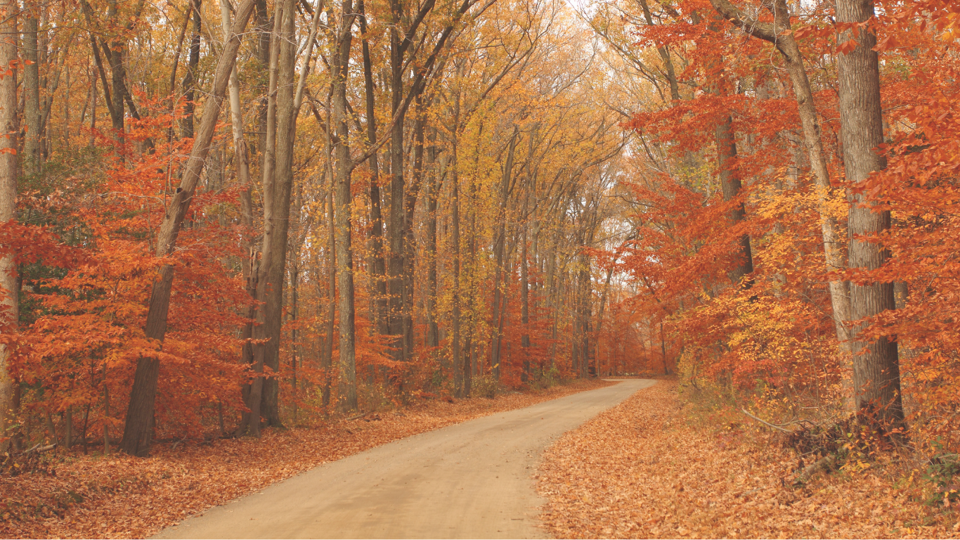 DR. Lisa Zaretsky dedicated to empowering individuals through personalized, holistic care, helping transform lives through hypnotherapy, coaching, and counseling.
